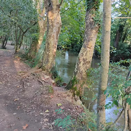 Coqueto En Appartement