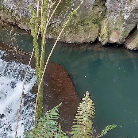 Appartement Coqueto En *