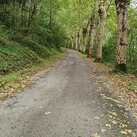 Appartement Coqueto En *