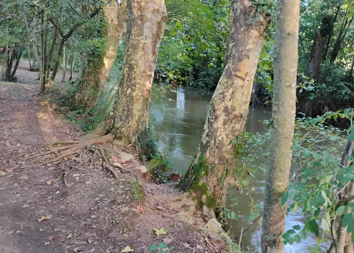 Coqueto En Апартаменты