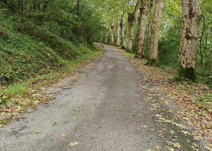 Апартаменты Coqueto En *